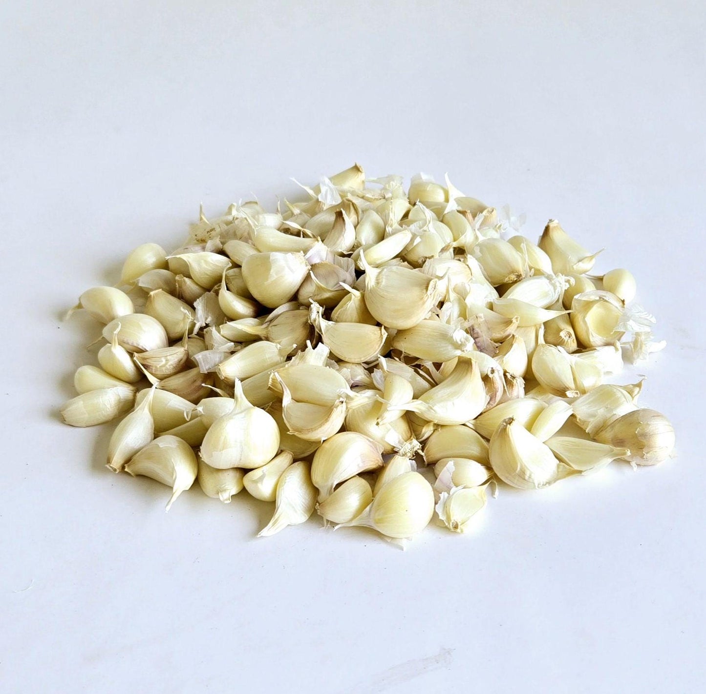 Lorz Italian Garlic (Allium sativum)