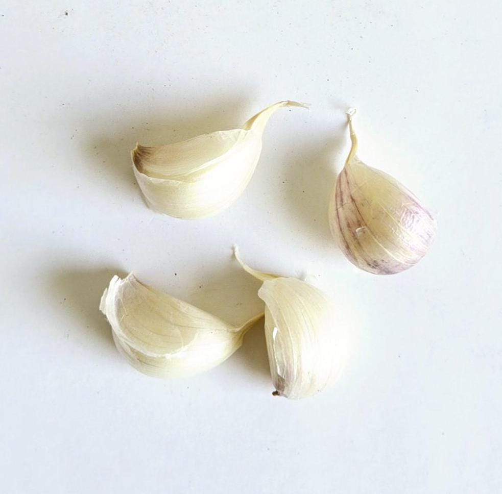 Red Toch Garlic (Allium sativum)