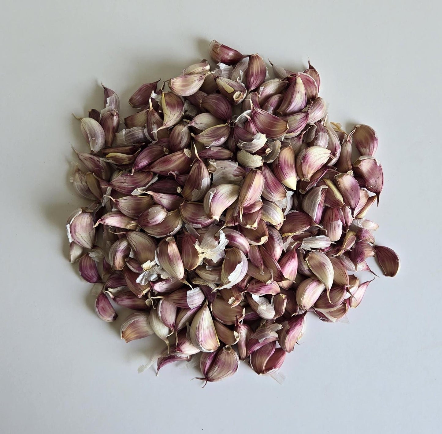 Donostia Red Garlic (Allium sativum)