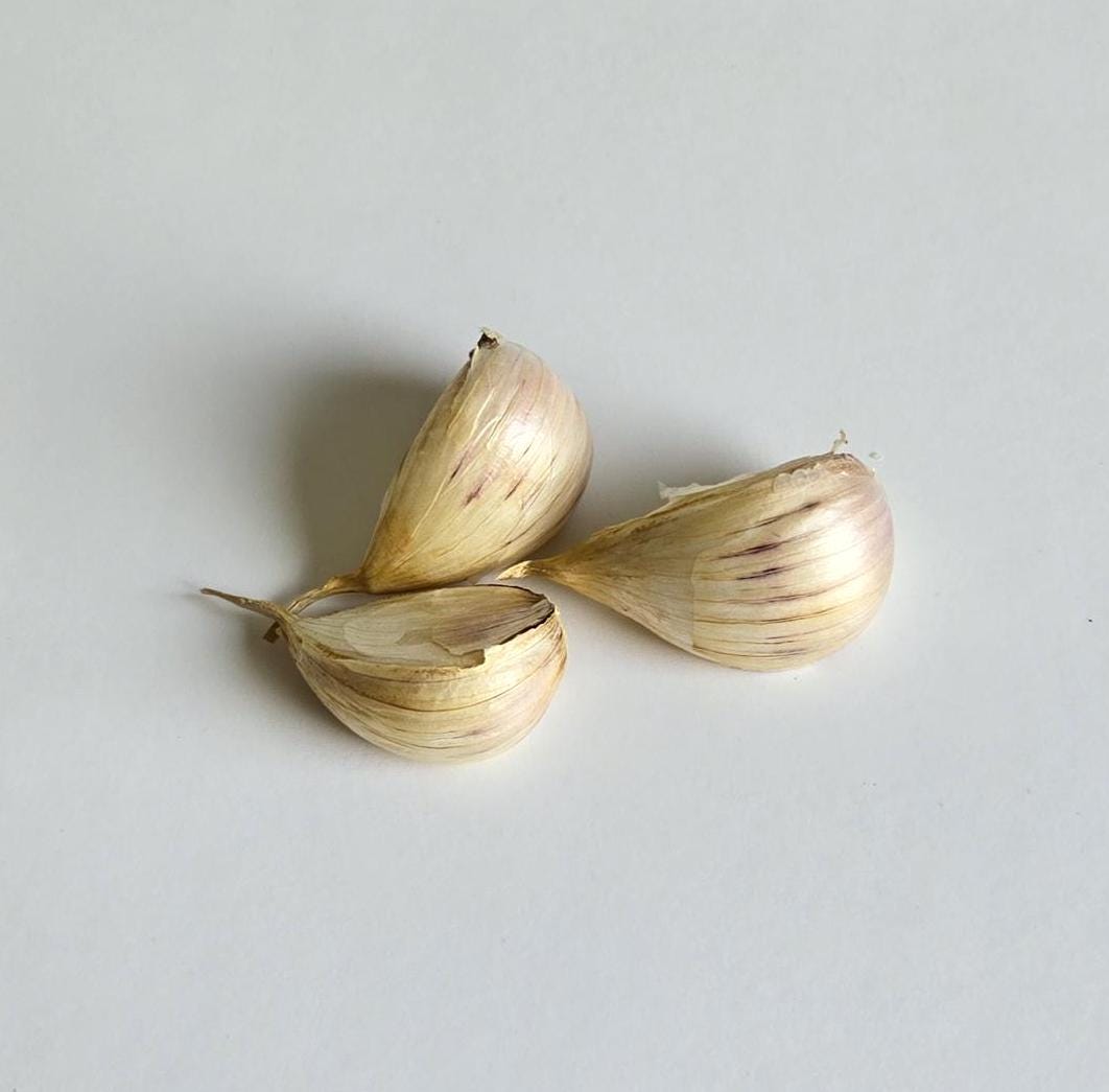 Hadrut Garlic (Allium sativum)