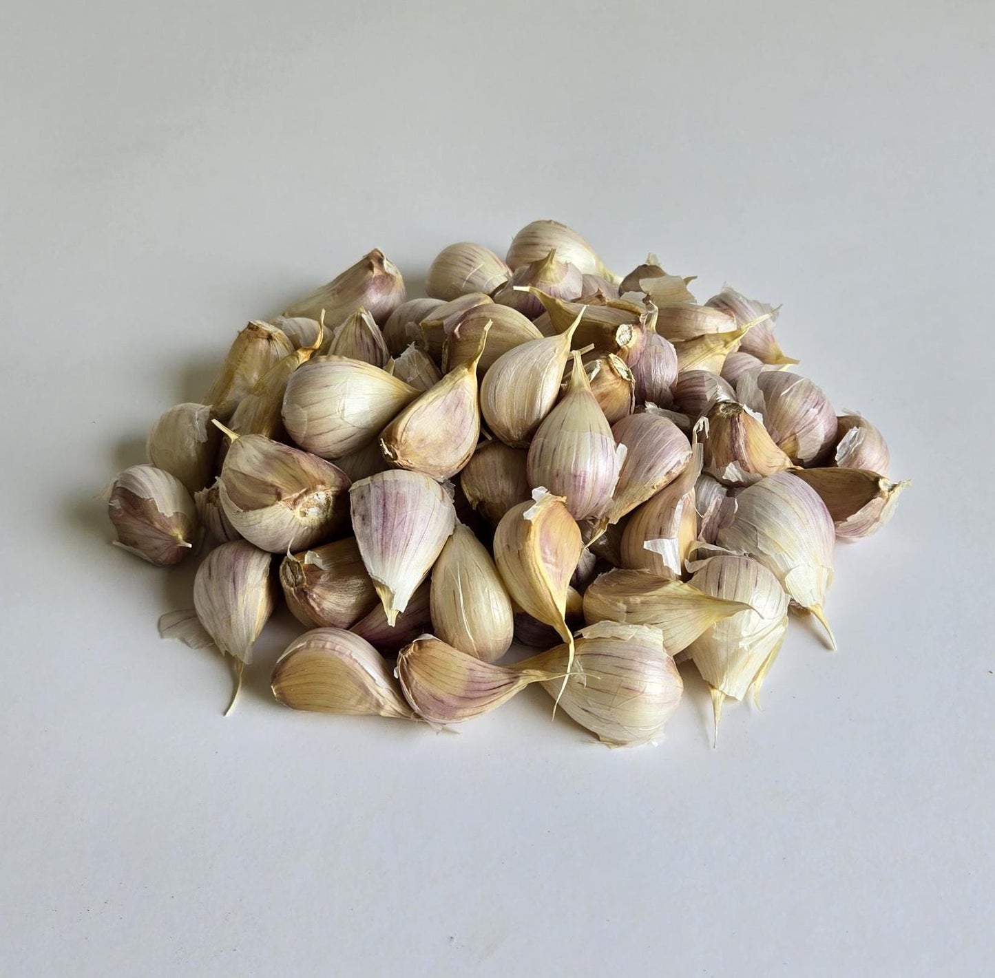 Hadrut Garlic (Allium sativum)