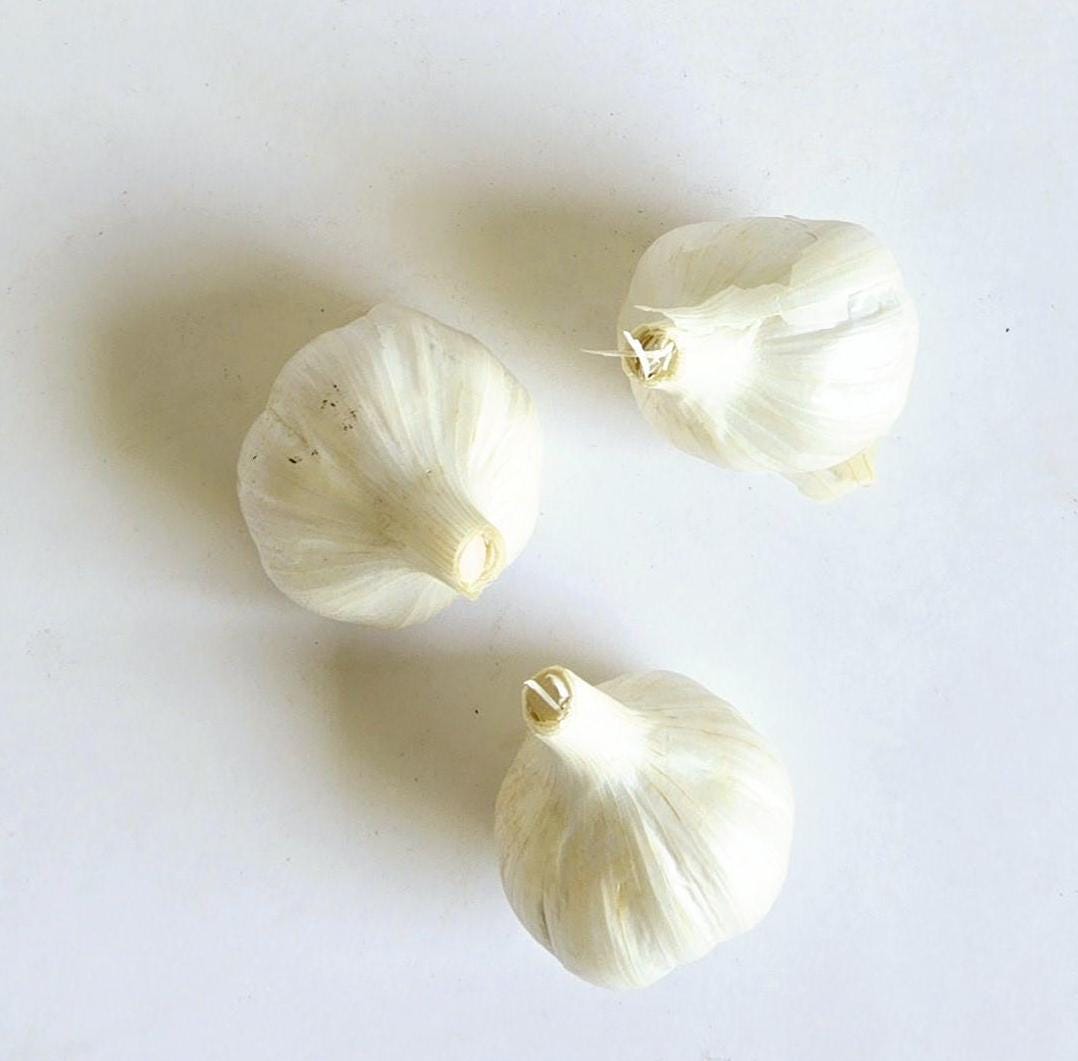 Yuggoth Garlic (Allium sativum)