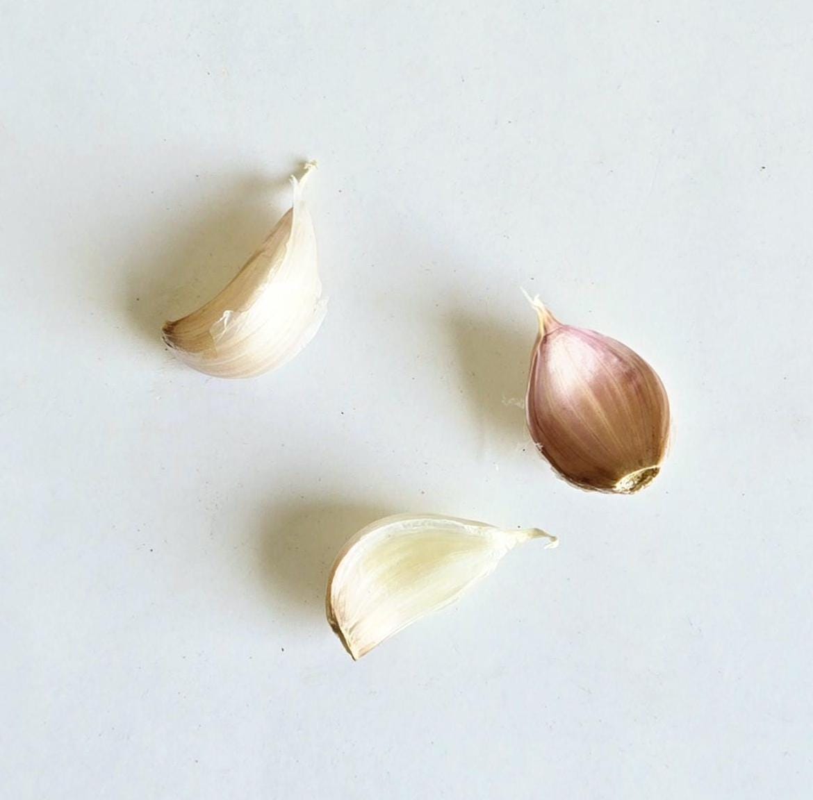 Idaho Silver Garlic (Allium sativum)