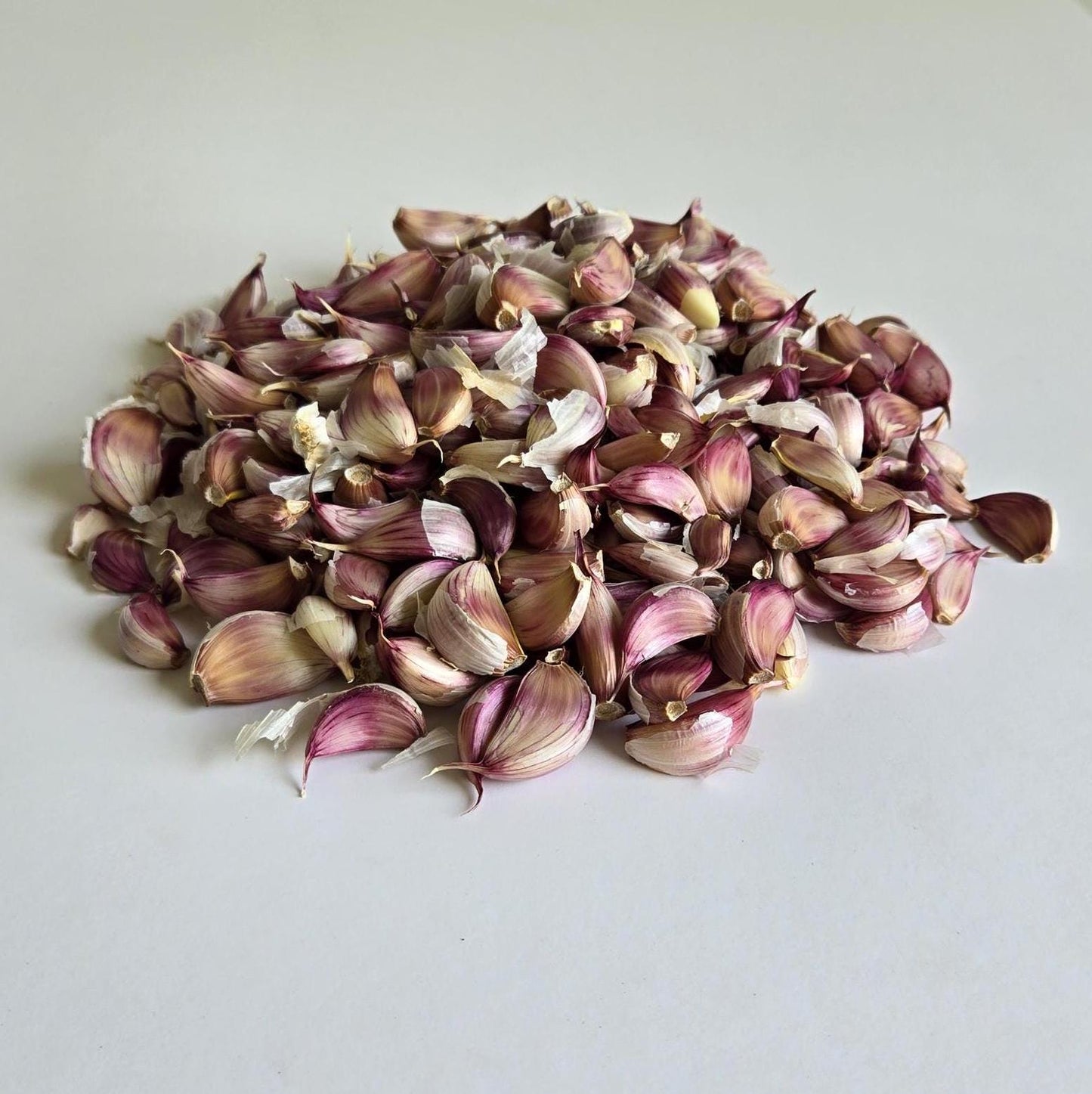 Donostia Red Garlic (Allium sativum)